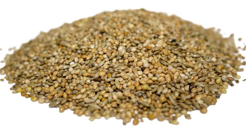 Exotenfutter standard 5 kg -
2,00 €/kg Exotenfutter standard 5 kg -
2,00 €/kg