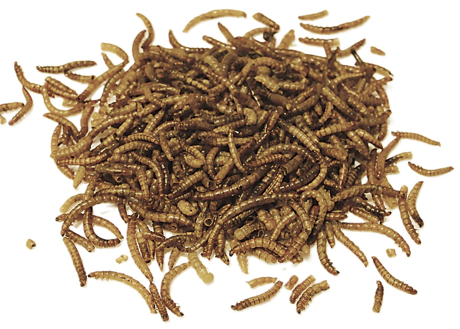 getrocknete Mehlwürmer 5 ltr. - 
3,57 €/l