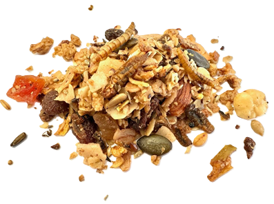 Ganzjähriges Vogelfutter mit Insekten 5 kg -  1,90 €/kg
