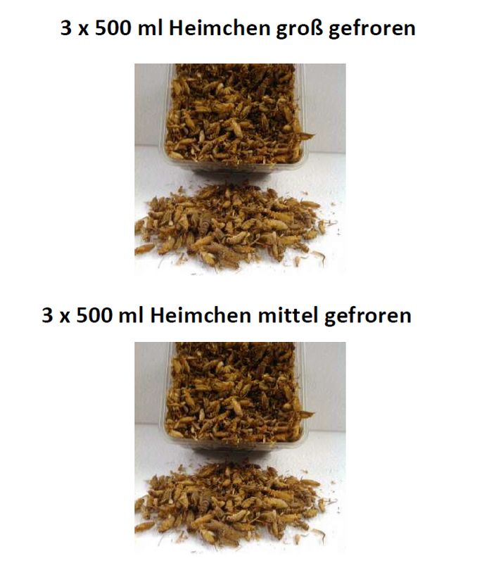 Set 23