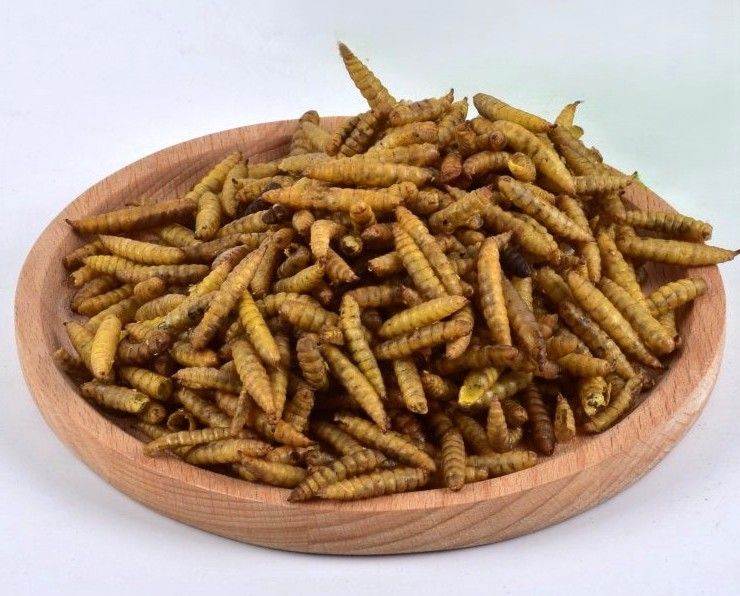 getrocknete Hermetia Larven 5 kg