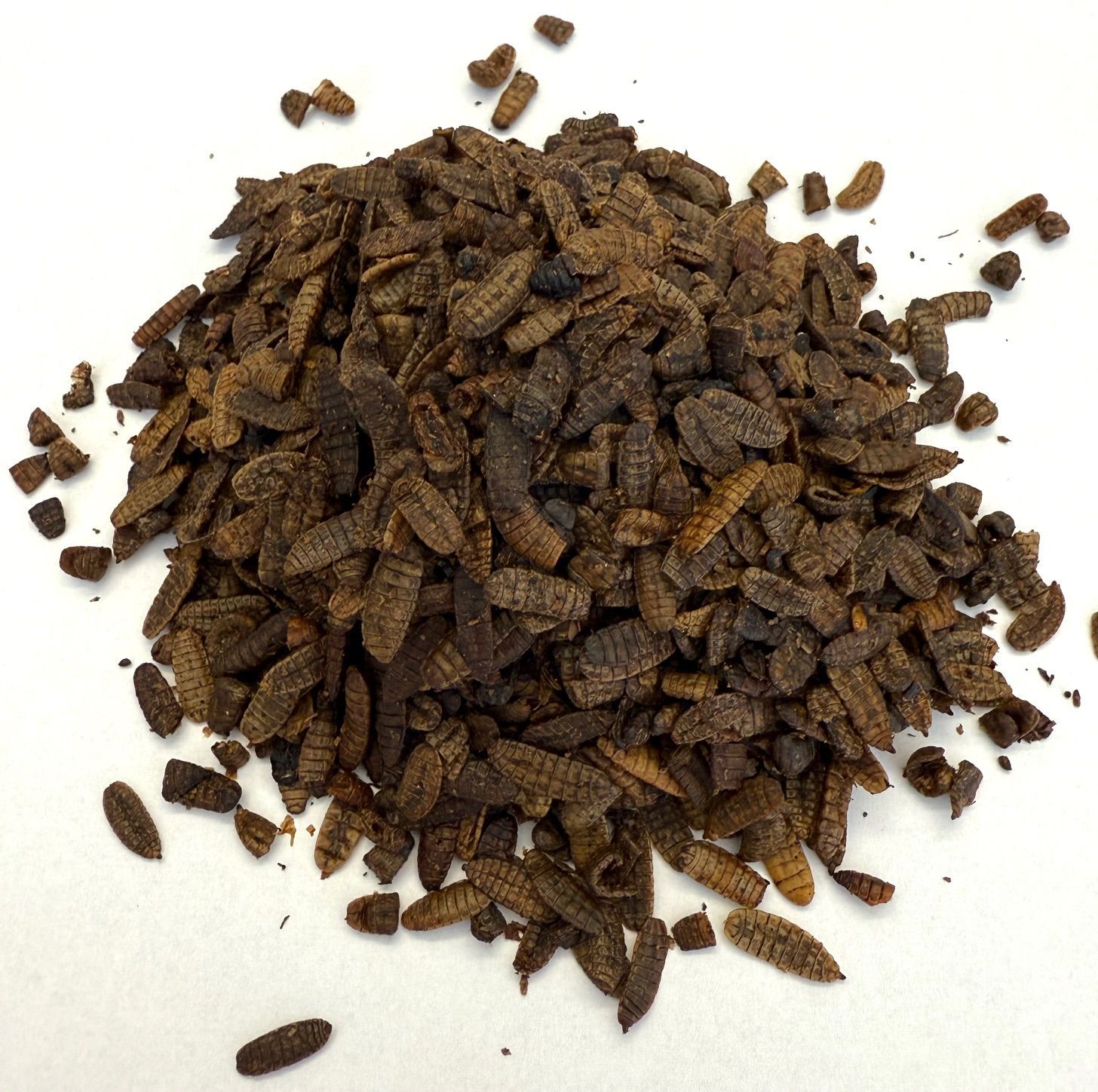 getrocknete Hermetia Larven 100 g