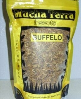 Schimmelkäfer (Buffalo) 1 ltr. gefroren Schimmelkäfer (Buffalo) 1 ltr. gefroren