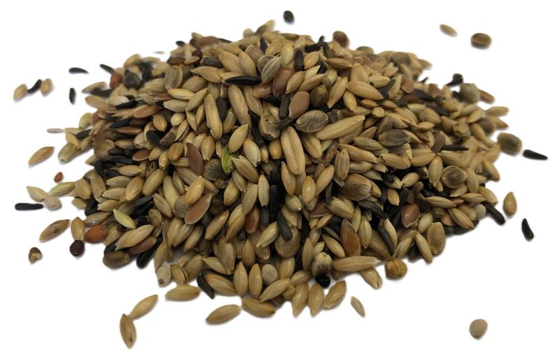 Kanarienfutter ohne Rübsen 20 kg - 1,76€/kg Kanarienfutter ohne Rübsen 20 kg - 1,76€/kg
