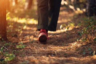 Sommer-Wander-Coaching 29.08./30.08./31.08. Sommer-Wander-Coaching 29.08./30.08./31.08.