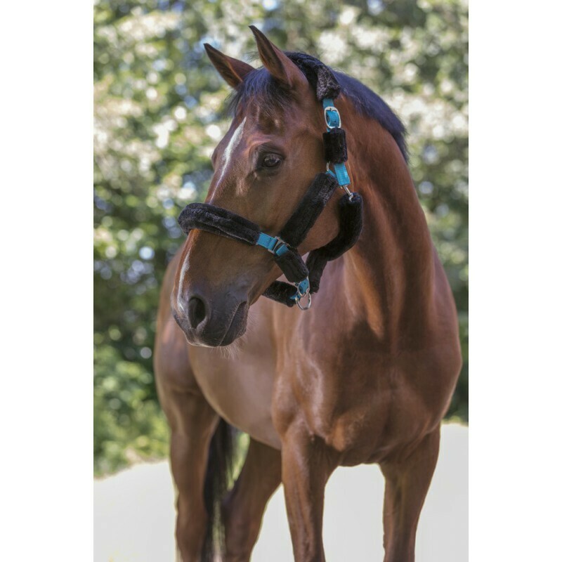Sellerie Equideal à Saint-Dié 
Licol NORTON &quot; Full mouton synthétique&quot;​
Licol en polypropylène avec boucle d’ajustement et mousqueton, recouvert intégralement de mouton synthétique détachable par bande auto-agrippantes.
