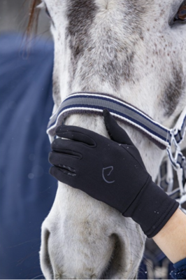 gants