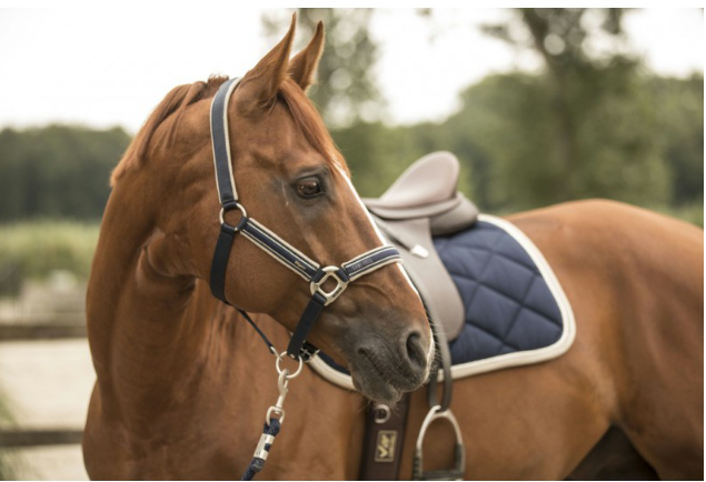 Tapis de selle LAMI-CELL &quot;Elegance&quot;