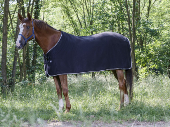Sellerie Equideal à Saint-Dié
Chemise polaire Riding World
Un basic éprouvé : la séchante ou sous-couverture en polaire 100 % polyester, épaisseur 240 g/m².
- Pad de garrot en polaire anti-frottements.
- Fermeture de poitrail par boucle en métal nickelé et courroie de queue.
Lavable en machine à 40°C. Pas de sèche-linge.