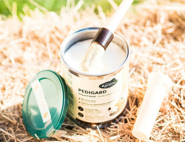 Pediguard Onguent Blond