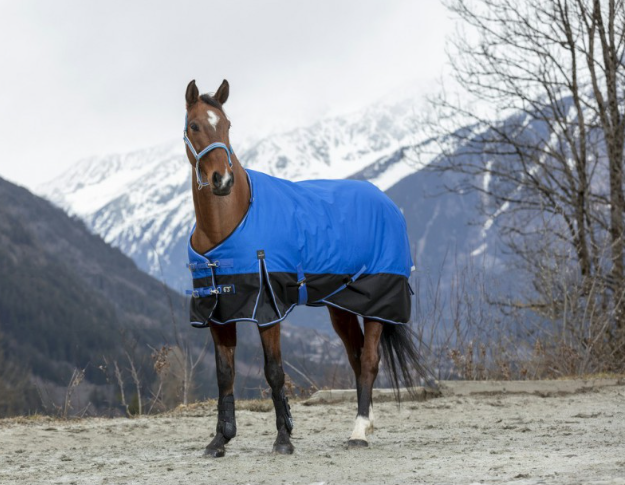 Sellerie Equideal à Saint-Dié
Couverture Equithème TYREX 1200D, couleur: bleu/noir, polyfil: 150g.​
Couverture d’extérieur imperméable et respirante en polyester Ripstop 1200 deniers 3000/3000 avec coutures thermo-soudées, doublure nylon. Equipée d’un très grand rabat de queue imperméable avec bande réfléchissante intégrée, de plis d’aisance, d’un pad de garrot en mouton synthétique à l&#39;intérieur de la couverture, de sursangles croisées basses et de courroies de cuisses. Fermeture de poitrail par fixation rapide EasyClip release, renforcée par bandes auto-agrippantes, avec indication de la taille sur patch en caoutchouc.