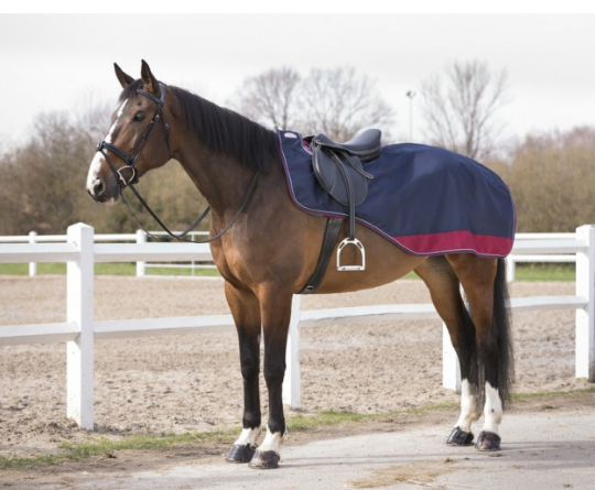 Sellerie Equideal à Saint-Dié 
Couvre reins Equithème &quot;TYREX&quot; 1200D, doublé polaire​
En polyester Ripstop 1200 deniers imperméable et respirant sur le dessus, partie basse imperméable, avec doublure en micro polaire anti peluches. Découpe de selle et coupe réduite à l&#39;avant pour un meilleur contact. Fermeture par bande auto agrippante au garrot et courroie de queue.