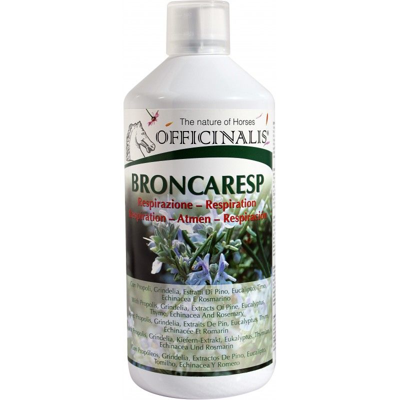 Sellerie Equideal Saint Dié
Broncaresp Eucalyptus est un complément nutritionnel riche en herbes officinales.

L&#39;échinacée et la propolis avec une action immunostimulante pour renforcer le système immunitaire du cheval.

Les huiles essentielles de pin, de thym, d&#39;eucalyptus et de romarin qui déterminent l&#39;expectoration.