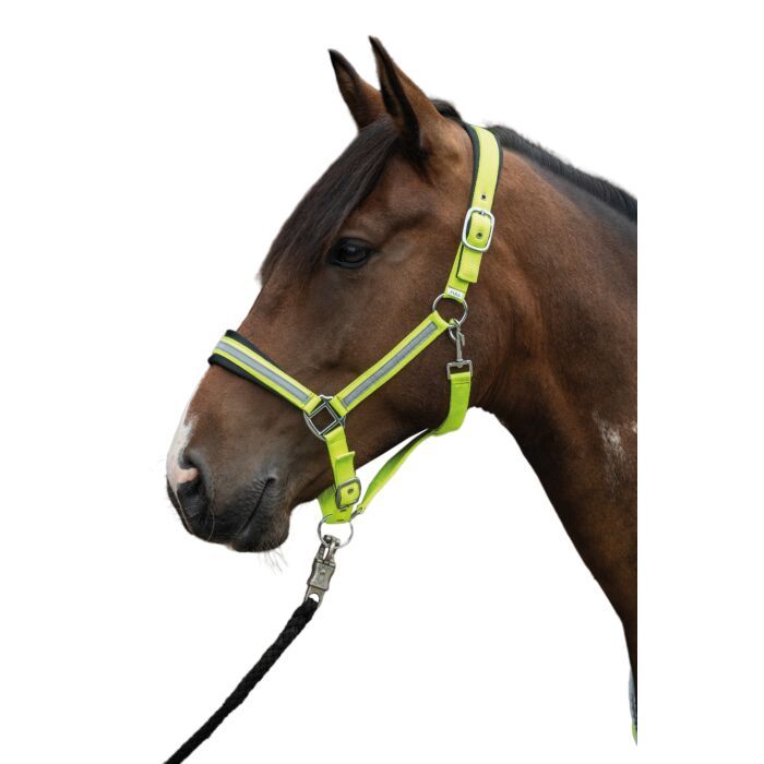 Sellerie Equideal à Saint-Dié
Licol HKM modèle &quot;Reflective&quot;​
mousquetons couleur argent
réfléchissant
ouverture sous-gorge par mousqueton
têtière et muserolle doubles en softopren
têtière réglable des deux côtés.