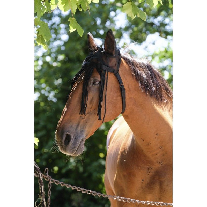 Sellerie Equideal à Saint-Dié 
Bonnet Equithème modèle &quot;Mesh&quot; avec chasse mouches.
Bonnet oreilles anti-mouches en mesh à treille fine 100 % polyester, avec frontal chasse-mouches intégré.
- Protection anti UV 50.
- Têtière, frontal et bordures des oreilles doublés anti-frottement.
- Fermeture par sous-gorge en polypropylène avec rabat auto-agrippant, montée sur support élastique pour un ajustement précis.