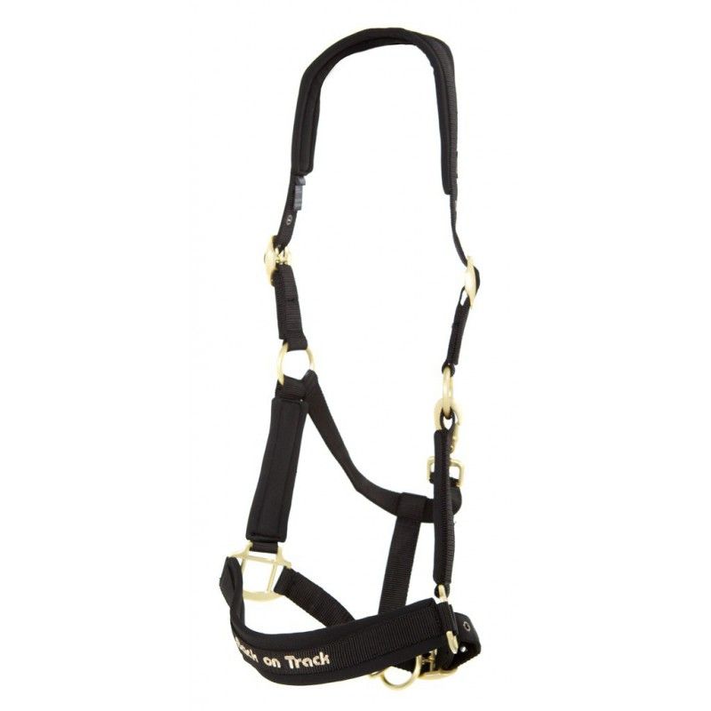 Sellerie Equideal à Saint-Dié 
Licol BAC ON TRACK modèle &quot;Werano&quot;​

Licol avec rembourrage en mousse de néoprène et du Welltex® sur les zones sensibles (tête, nez, joues) pour éviter les frottements.

- Les boucles en couleur doré mat sont faciles à ajuster à la taille de votre cheval.

- A combiner avec nos stable boots de couleur pour de jolis assortiments.

Composition : ruban 100 % polypropylène, matelassage 100 % SBR, intérieur 100 % polypropylène, boucles 100 % alliage zinc.