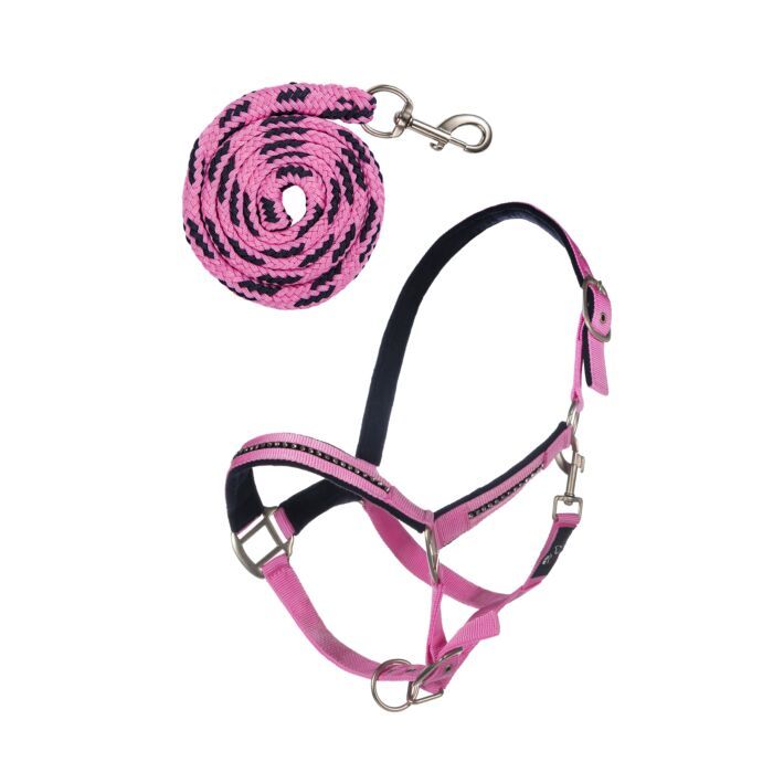 Sellerie Equideal à Saint-Dié
Licol et longe HKM modèle &quot;Crystal&quot;
Un licol girly avec ses cristaux sur la muserolle et les montants pour habiller vos shetlands, poneys et chevaux. Vendu avec sa longe. Différent coloris: bleu marine/rose, gris/noir.​
avec raccords en couleur argent dépoli
longueur 1,80 m
