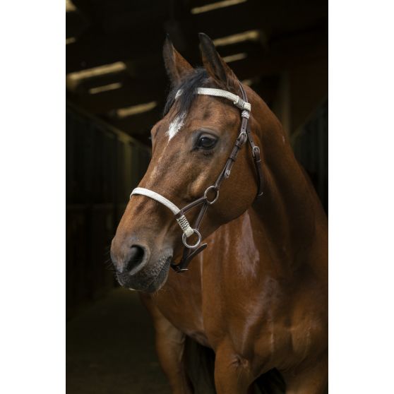 Sellerie Equideal à Saint-Dié 
Bridon Side-pull Norton Pro Tresse
Conçu pour les cavaliers qui souhaitent des actions précises tout en préservant la bouche de leur cheval !
Très imprégné de l&#39;esprit western, le Bridon Side-pull Norton Pro Tresse est en cuir de buffle et possède une muserolle et un frontal en cuir tressé.
Ce bridon sans mors est très stable et s&#39;utilise comme un bridon classique : la muserolle doit être fixe et située environ 5 cm au-dessus des commissures et 5 cm au-dessous des apophyses zygomatiques. (consignes à adapter en fonction de la morphologie de chaque cheval)
Grâce à sa muserolle large, le Bridon Side-pull Norton Pro Tresse a une action plus douce que le Bridon Side-pull Norton Pro Corde, il convient à un cavalier débutant.
Le Bridon Side-pull Norton Pro Tresse est aussi recommandé pour :
les chevaux blessés à la bouche ou sensibles
les jeunes chevaux
les chevaux ayant tendance à s&#39;encapuchonner
Le Bridon Side-pull Norton Pro Tresse est vendu sans rênes.