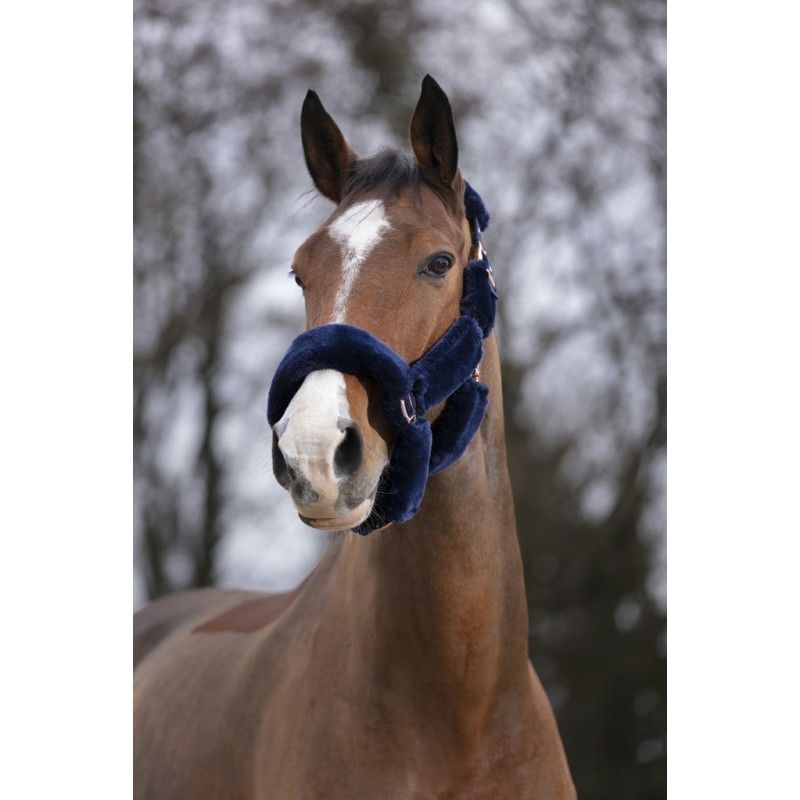 Sellerie Equideal à Saint-Dié 
Licol &quot;Teddy rose gold&quot; Equithème. Différents coloris: noir, bleu marine. 
​En polypropylène entièrement recouvert de mouton synthétique. Bouclerie en zinc coloris or rose.