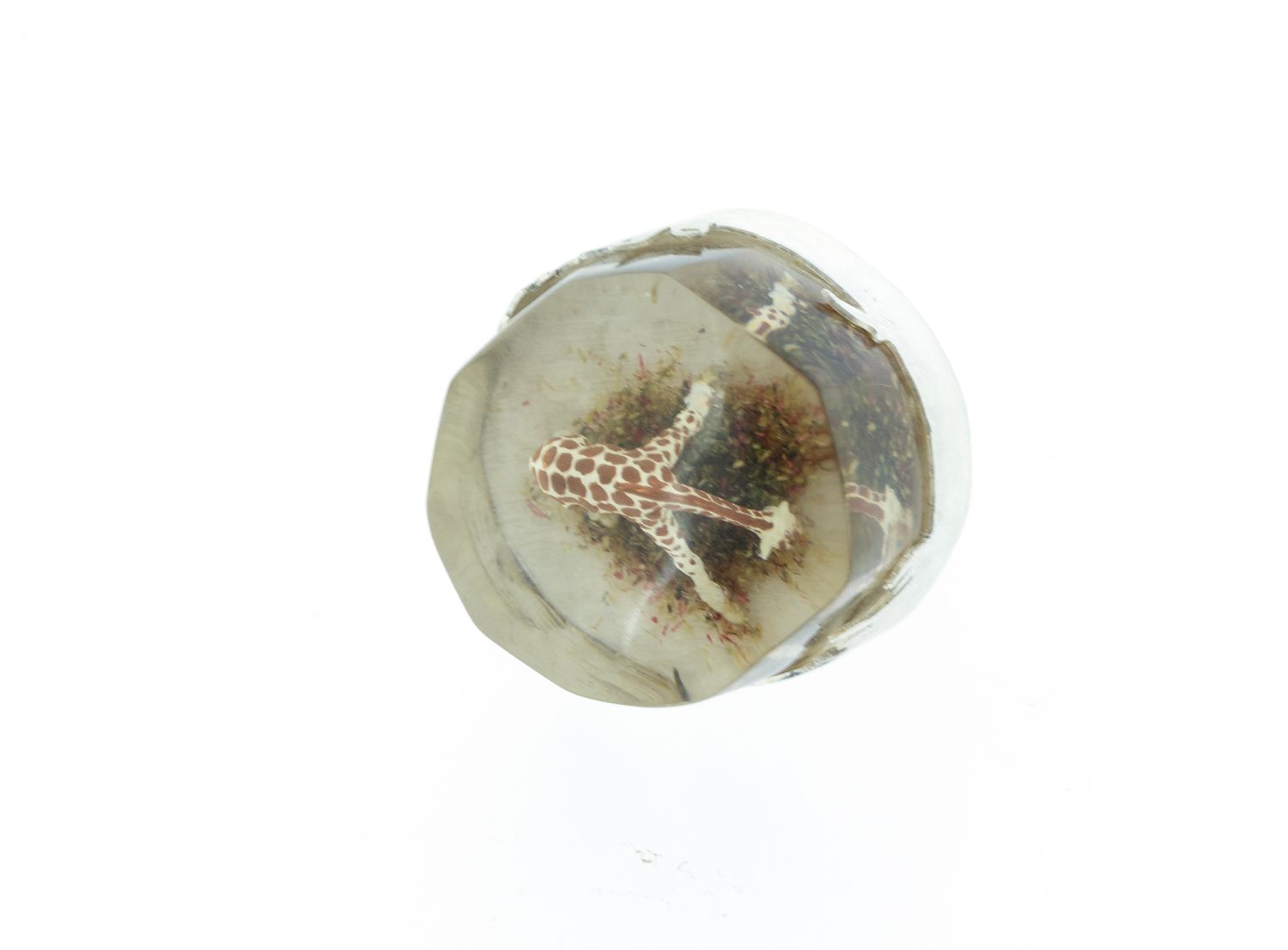 Dream Tall ring