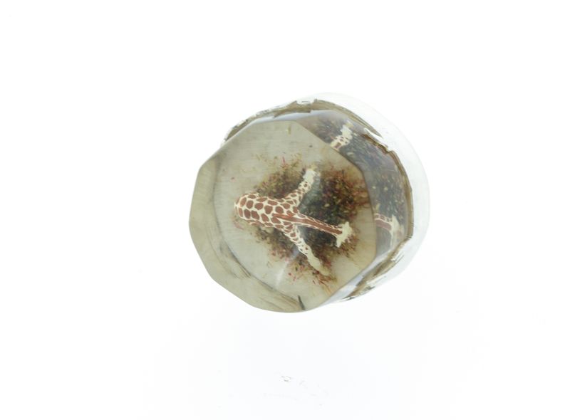 Dream Tall ring