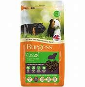 BURGESS Excel Adult Rabbit Food - 2kg