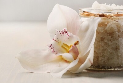 Vanilla - فانيلا