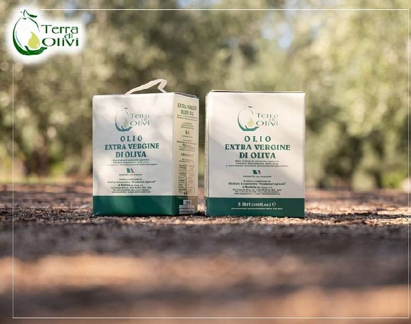 Bag in Box Olio Extra Vergine di Oliva