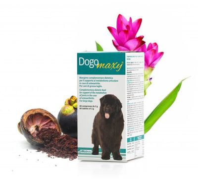 Dogoteka DOGOmaxy®