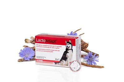 Dogoteka LactoAdapt® 60 Tablets