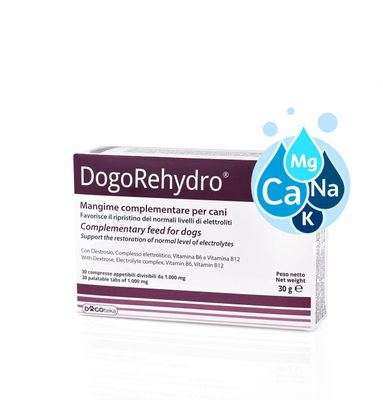 Dogoteka DogoRehydro®