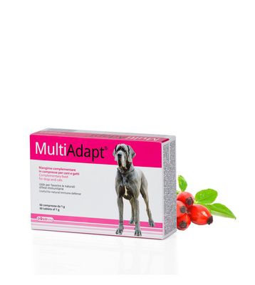 Dogoteka MultiAdapt®