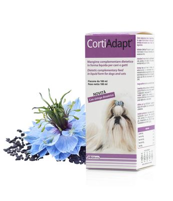 Dogoteka CortiAdapt®