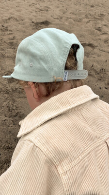 Five Panel | SPRUCE
