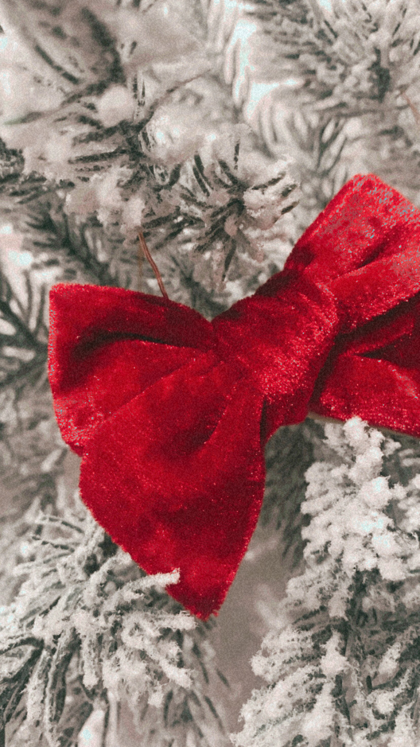 Bows | Holiday Red Velvet 