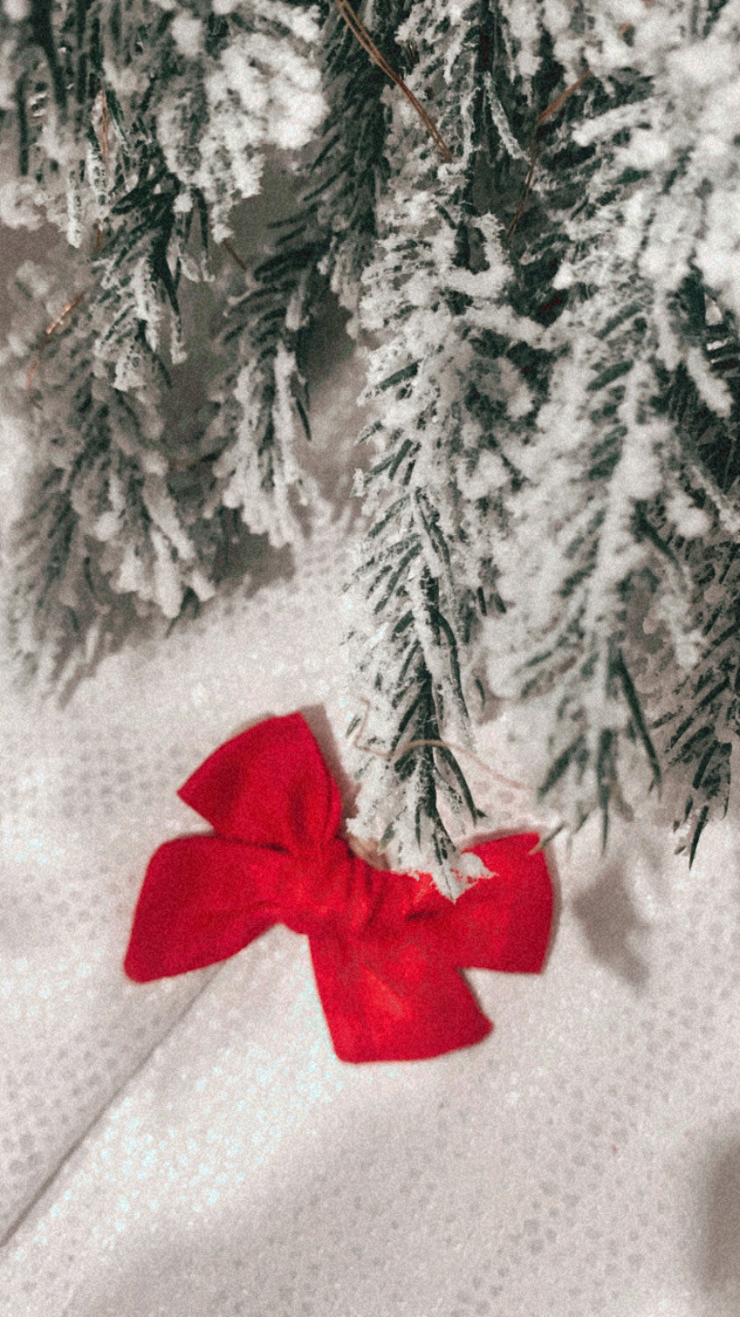 Bows | Holiday Red Canvas