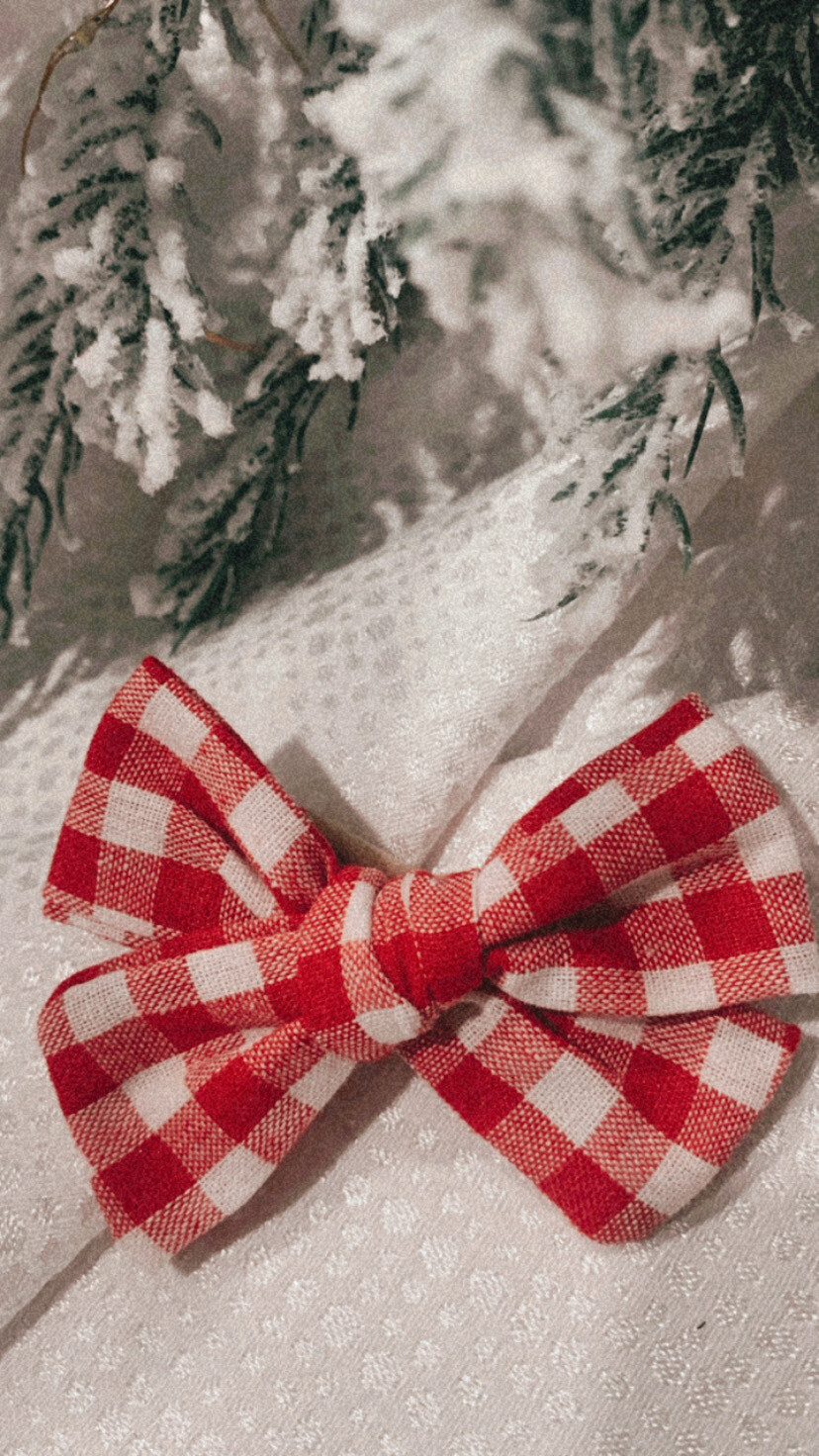 Bows | Bright Red Gingham