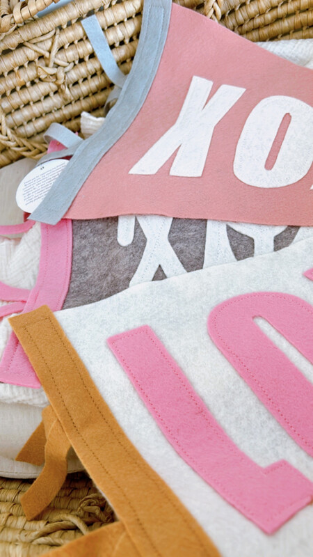 “XOXO” Pennant Flag