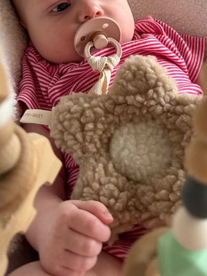 Soother Lovey - Daisy
