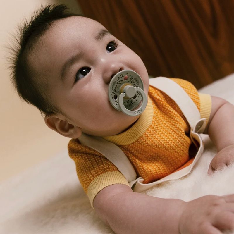 Bibs Soother- 2 Pack Limited Edition Holiday Leaf Sage / Hunter