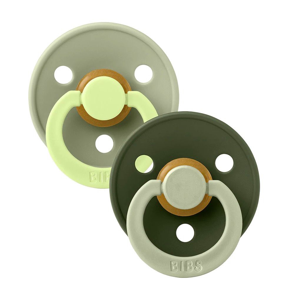 Bibs Soother- 2 Pack Studio Collection Fusion Sage Green / Hunter