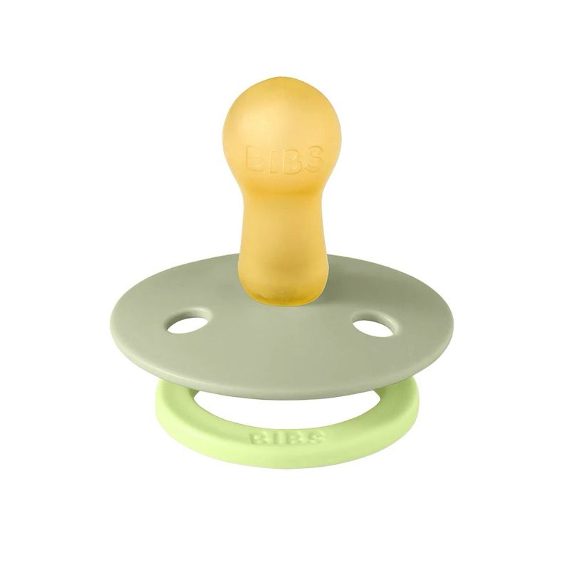 Bibs Soother- 2 Pack Studio Collection Fusion Sage Green / Hunter