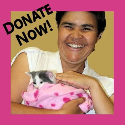 Donate Now!