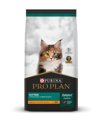 Pro plan gato