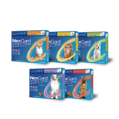 Nexgard Spectra