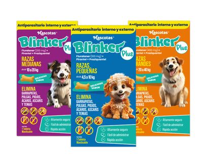Blinker