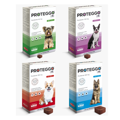 Proteggo