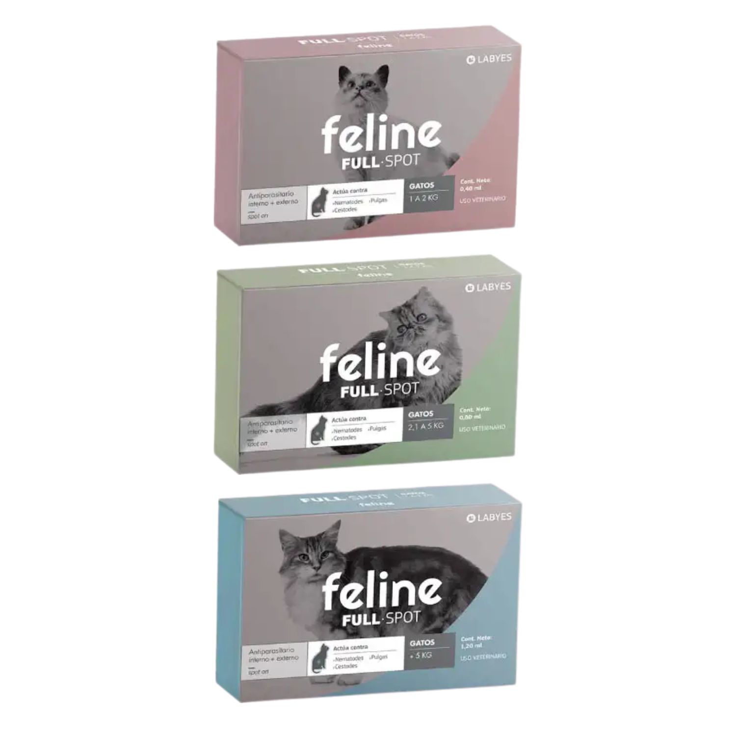 Feline Full Spot