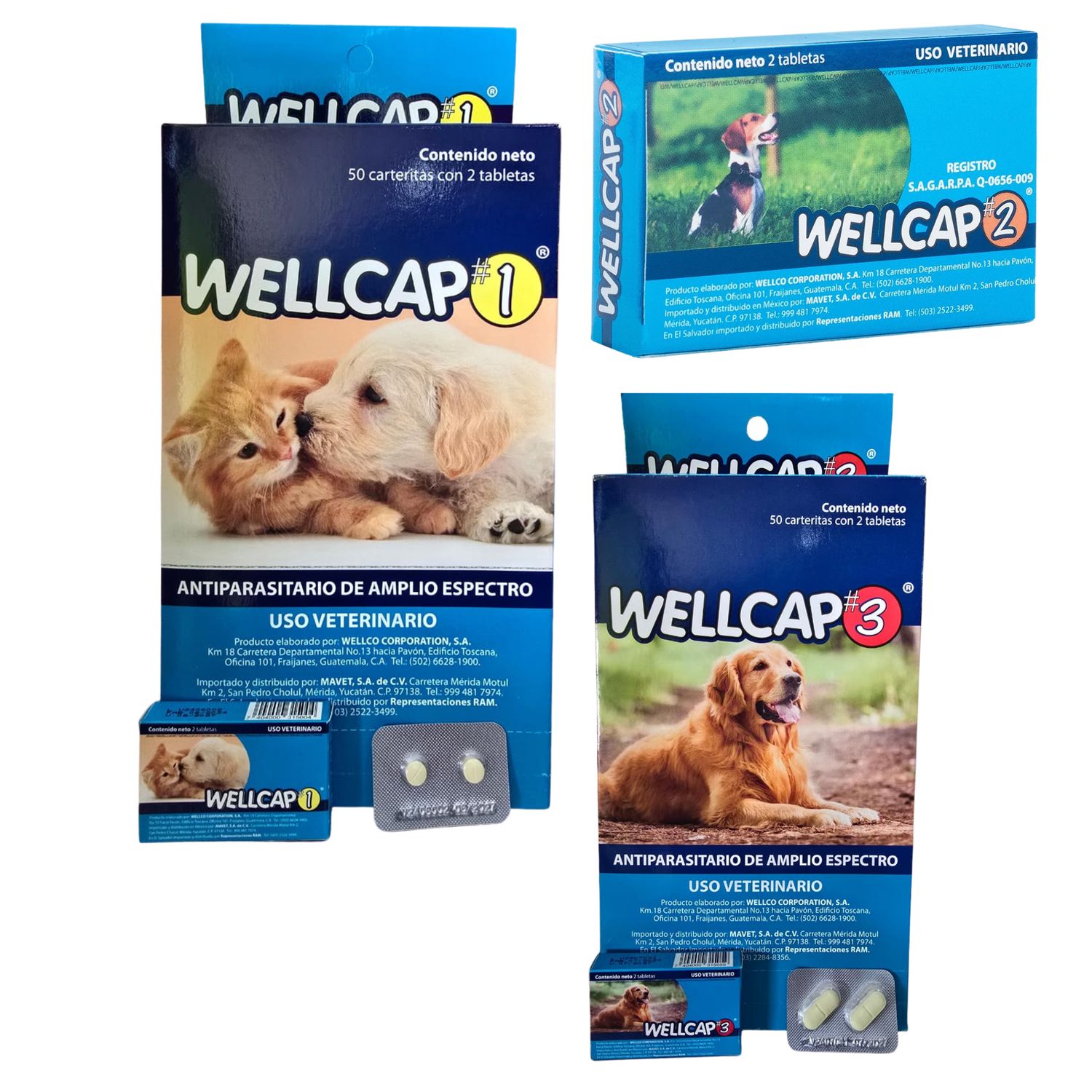 Wellcap Tabletas