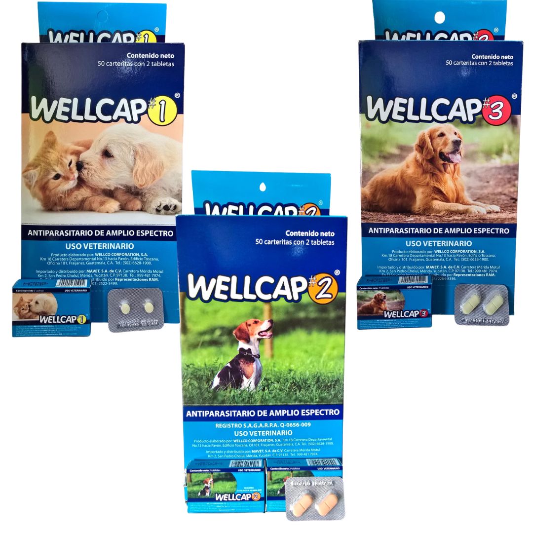 Wellcap Tabletas